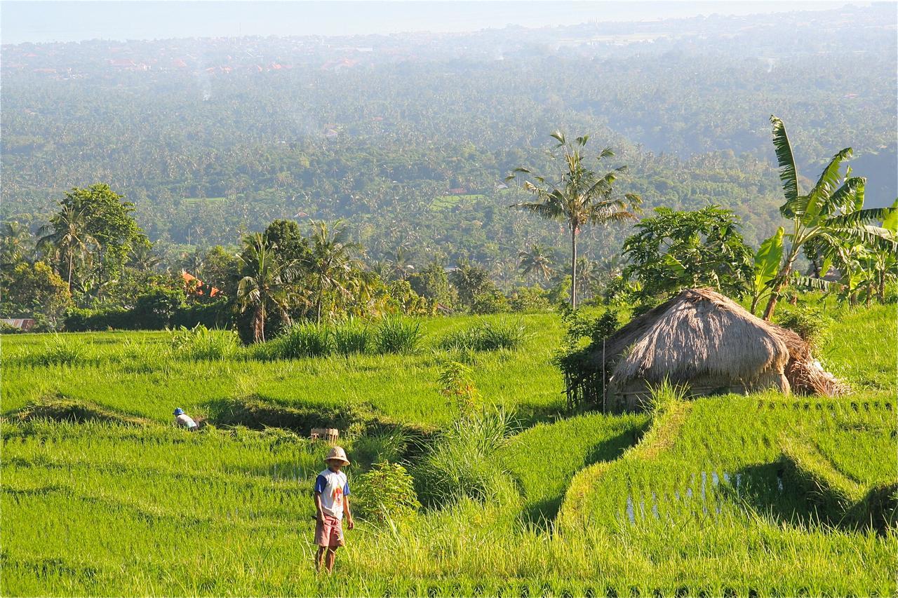 Rumah Kita Lovina Esterno foto