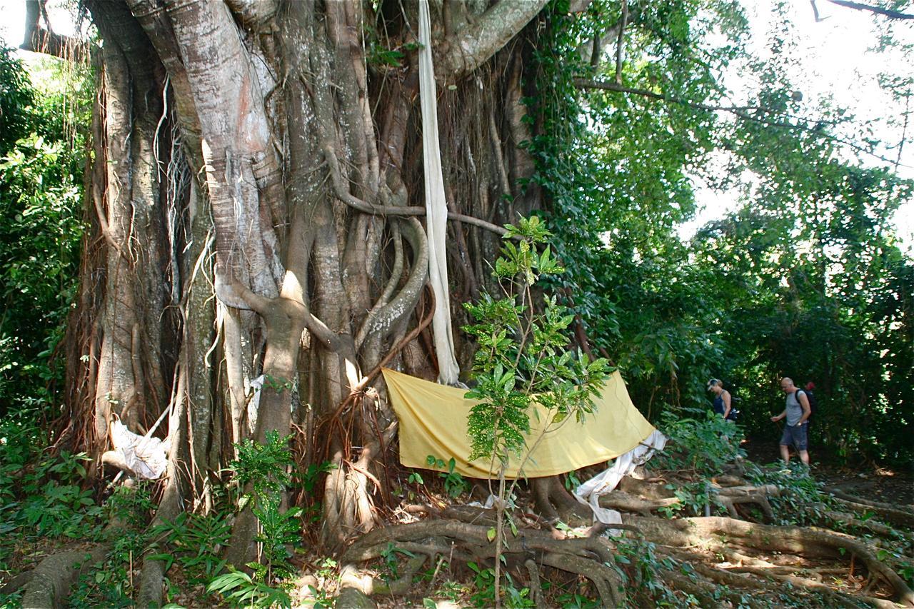 Rumah Kita Lovina Esterno foto